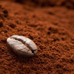 Cà Phê Vườn Rừng Nguyên Chất