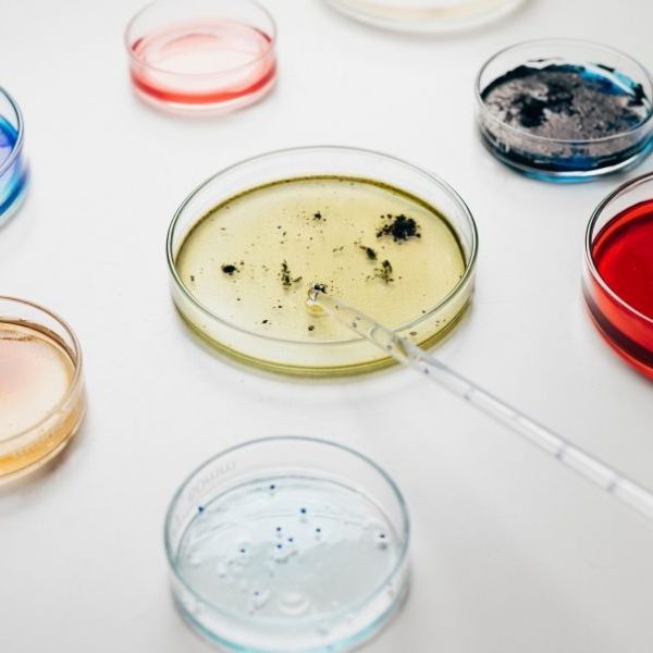 Hệ Thống Tưới