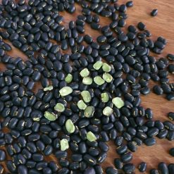 Đỗ Đen Xanh Lòng Hữu Cơ Rang Củi