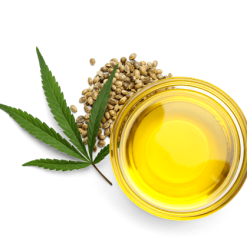 Dầu Hạt Gai Dầu Nguyên Chất 60ml | 100ml | 250ml – Sỉ Số Lượng