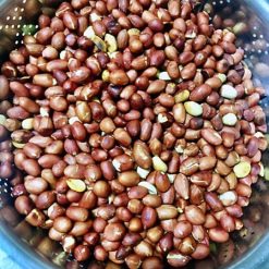 Lạc Bóc Tay Rang Củi