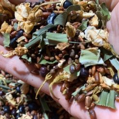 Trà Đỏ Hoa Thảo Dược Rang Củi Detox