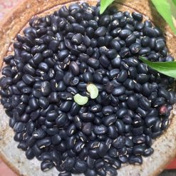 Đậu Đen Xanh Lòng Canh Tác Tự Nhiên