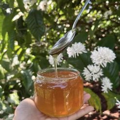 Mật Ong Thô Tự Nhiên Cao Cấp (Hoa Cà Phê)