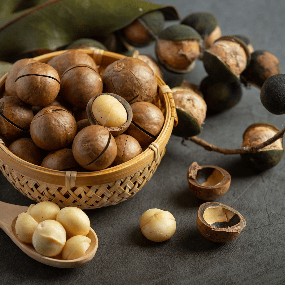 Macca Đắk Lắk Nguyên Hạt Tách Nứt (Size Trung)