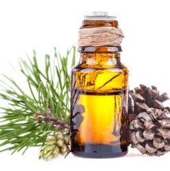 Dầu Hạt Thông Nguyên Chất 60ml | 100ml | 250ml – Sỉ Số Lượng