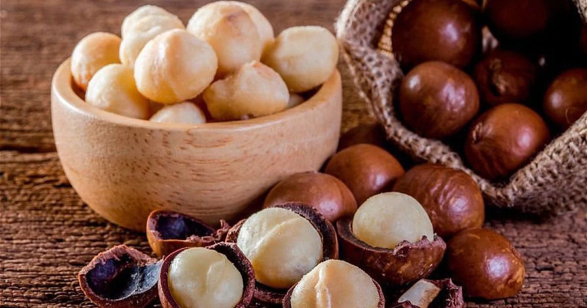 Công Dụng Tuyệt Vời Của Hạt Macca Đối Với Sức Khỏe Gia Đình