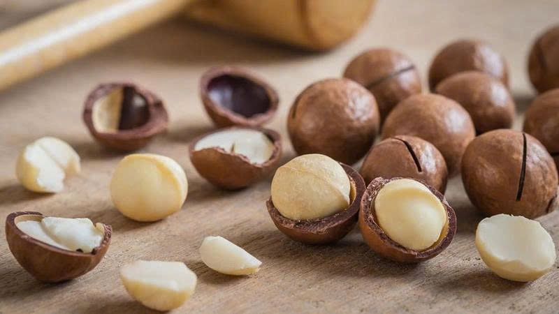 Công Dụng Tuyệt Vời Của Hạt Macca Đối Với Sức Khỏe Gia Đình