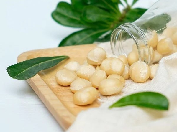 Sấy Nứt Vỏ, Nhân Sấy Hay Macca Tươi: Loại Nào Phù Hợp Với Nhu Cầu Của Bạn?